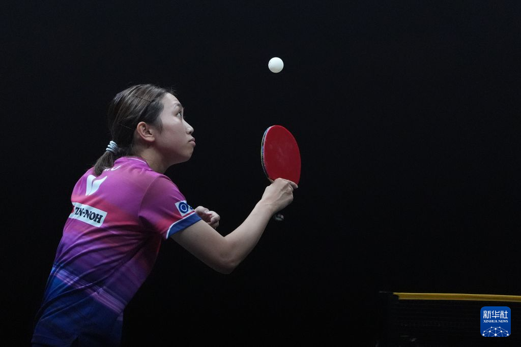 美狮贵宾会ms092021介绍图片